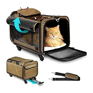 Cat Carriers and Strollers